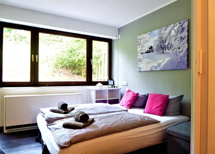 Harmony 4 Pers Wifi Terrasse Near Lift * Winterberg